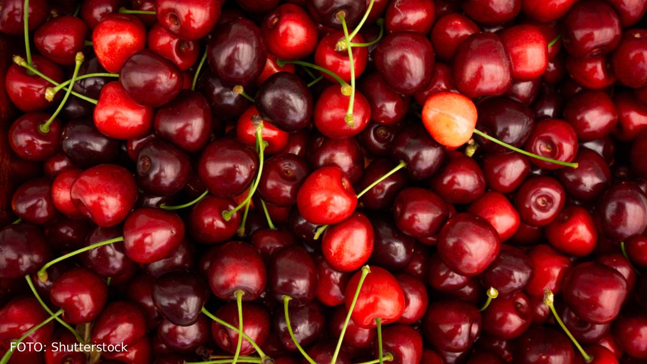 Las cerezas del Noroeste de Estados Unidos acaparan el mercado mexicano. FOTO: Shutterstock