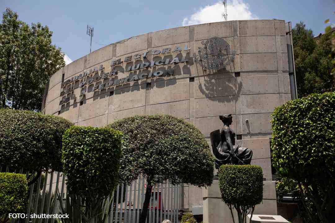 TEPJF revoca acuerdos del INE por violar paridad de género