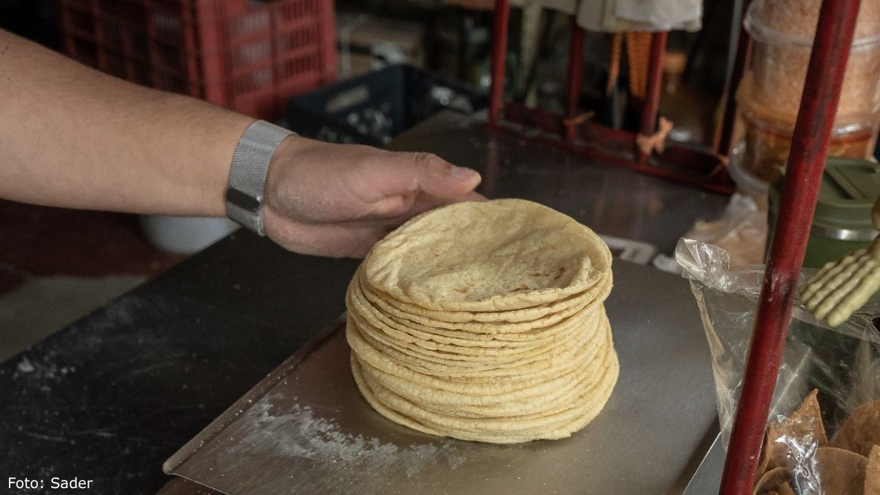 El Acuerdo Nacional Maíz Tortilla busca fortalecer una de las cadenas productivas más importantes en la alimentación de los mexicanos.
