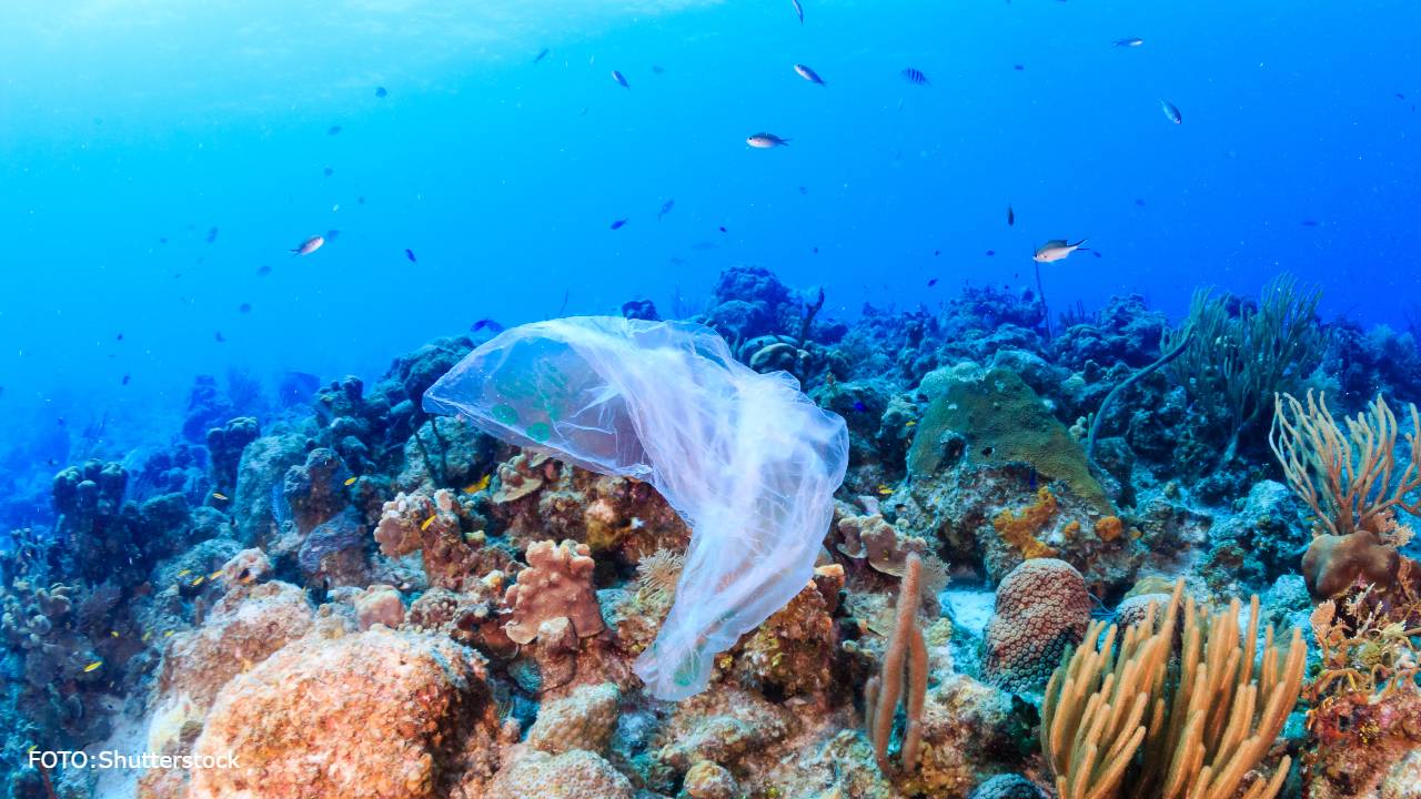 contaminación por microplásticos