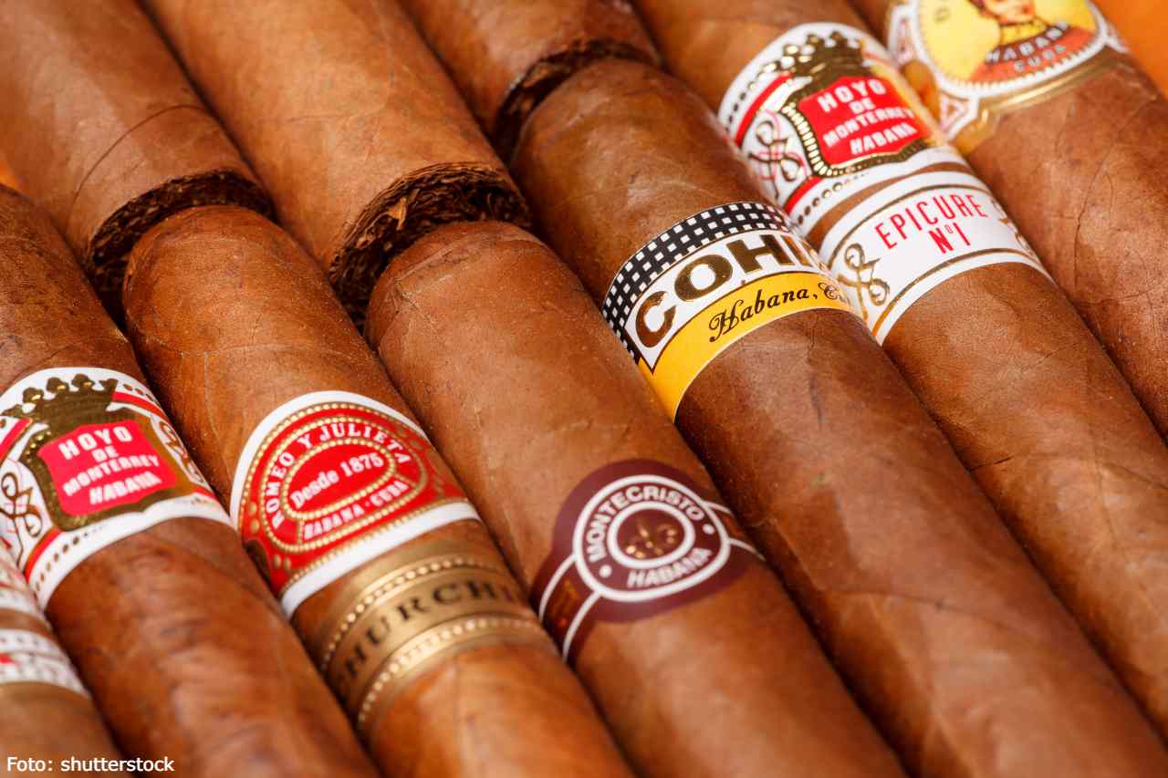 habanos puros cubanos cuba shutterstock