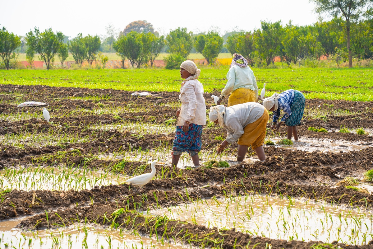 Más de 2,400 millones de trabajadores están expuestos a calor extremo, lo que resulta en más de 22 millones de lesiones laborales al año.